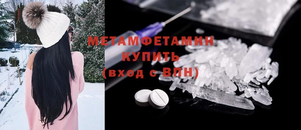 шишки Осинники