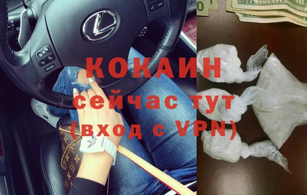 шишки Осинники