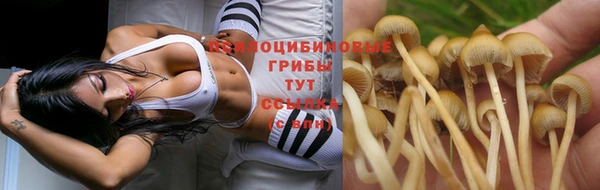 сатива Переславль-Залесский