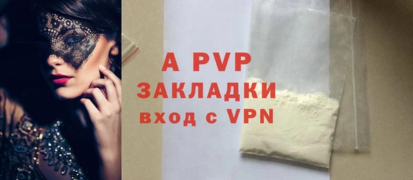 шишки Осинники
