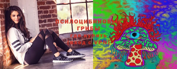 шишки Осинники