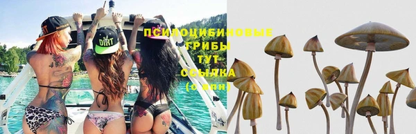 не бодяженный Осташков