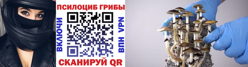 цены наркотик  OMG маркетплейс  Псилоцибиновые грибы мухоморы  Краснозаводск 